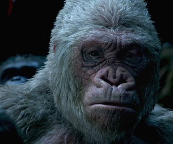Une scène du film War for the Planet of the Apes