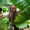 Johnny Depp dans le film Pirates of the Caribbean: On Stranger Tides