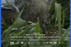 Image du film Les héritiers