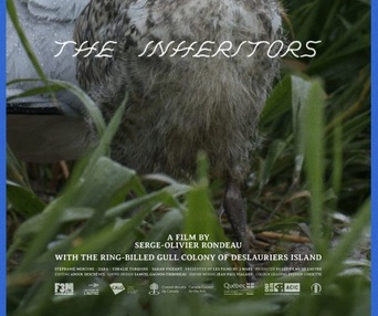 Image du film Les héritiers