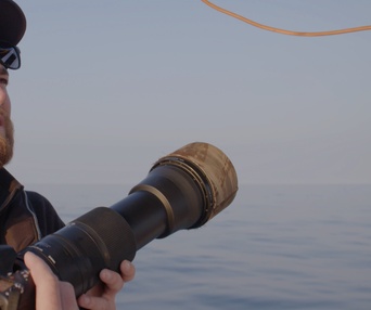 Une scène du film Last of the Right Whales