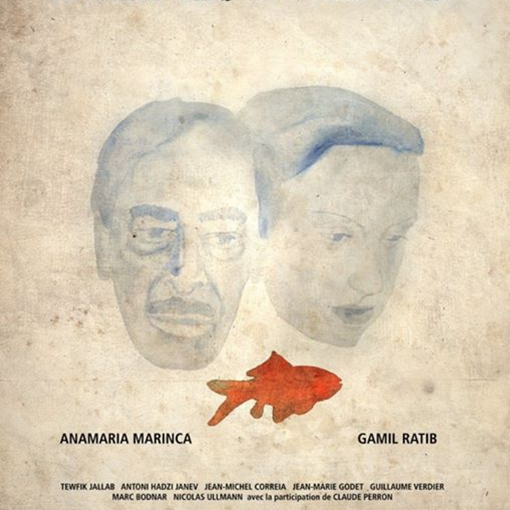Affiche du film Un nuage dans un verre d'eau