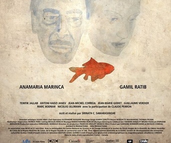 Affiche du film Un nuage dans un verre d'eau