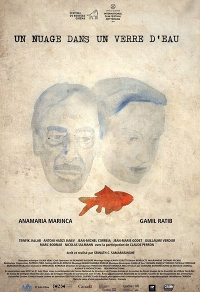 Affiche du film Un nuage dans un verre d'eau