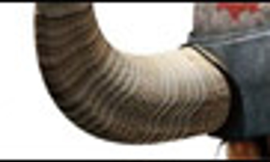 Première affiche du film How to Train Your Dragon