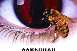 Affiche du film Candyman