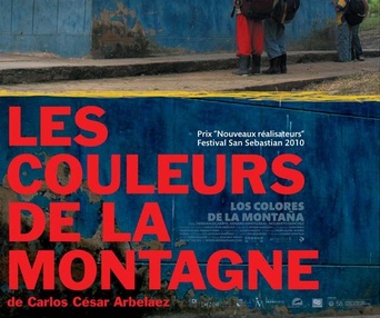 Affiche du film Les couleurs de la montagne