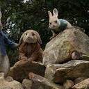 Une scène du film Peter Rabbit