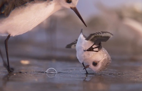 Une scène du film Piper