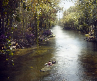 Une scène du film The Jungle Book