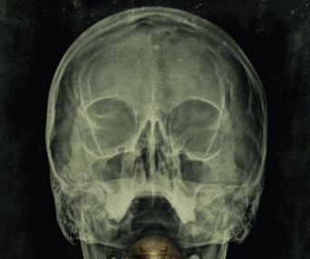Affiche du film The Bay