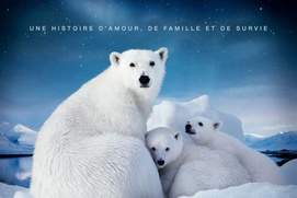 Affiche du film Arctique 3D
