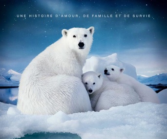 Affiche du film Arctique 3D
