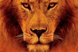 Affiche du film African Cats: Kingdom of Courage
