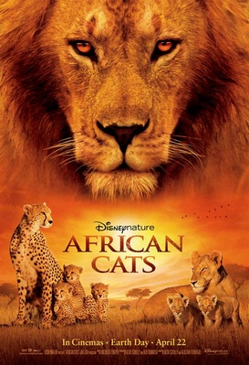 Félins d'Afrique