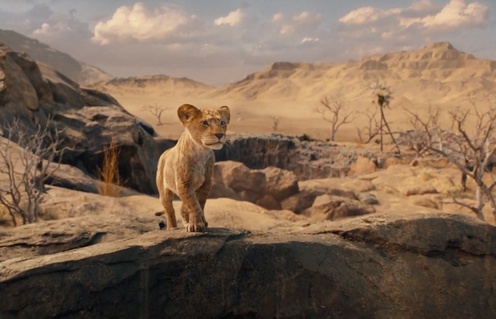 Une scène du film Mufasa: The Lion King