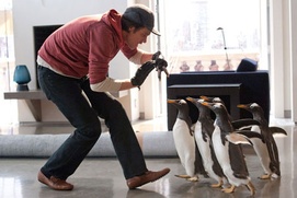 Une scène du film Mr. Popper's Penguins Une scène du film Mr. Popper's Penguins