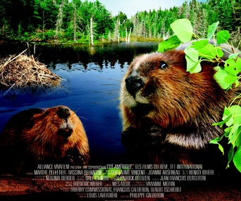 Affiche du film La rivière aux castors - Les aventures de mèche blanche