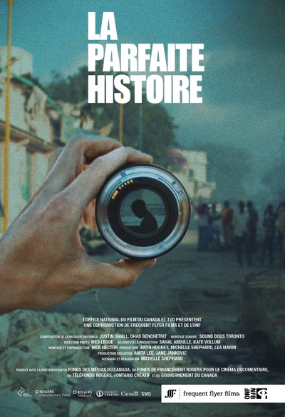 Affiche du film The Perfect Story