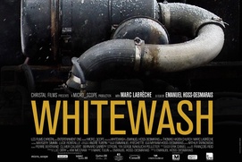 Affiche du film Whitewash Affiche du film Whitewash
