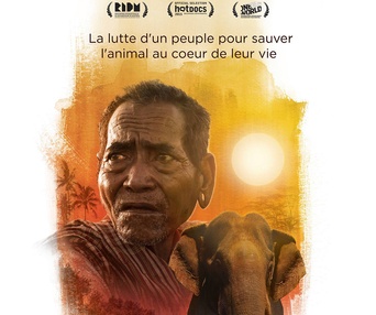 Affiche du film Les derniers hommes éléphants