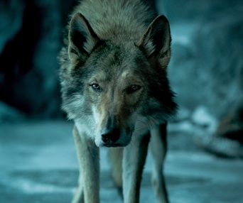 Une scène du film Alpha