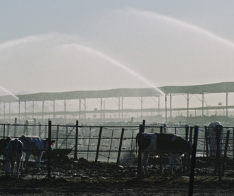 Une scène du film Poisoned: The Dirty Truth About Your Food