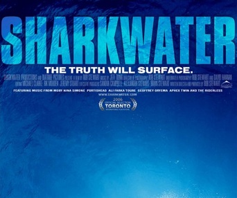 Affiche du film Sharkwater