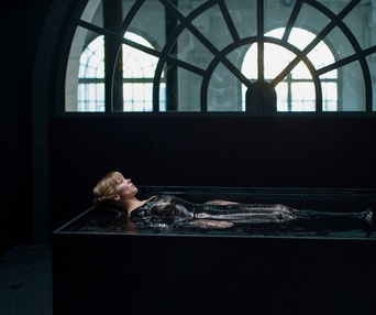 Image du film La bête