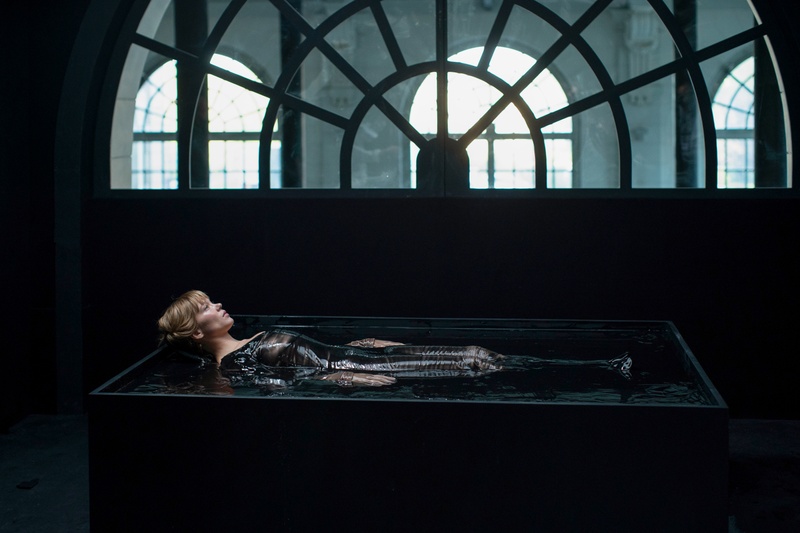 Image du film La bête