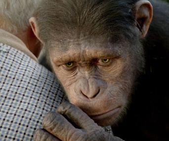 Une scène du film Rise of the Planet of the Apes