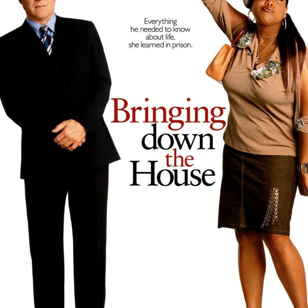 Affiche du film Bringing Down the House