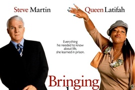 Affiche du film Bringing Down the House