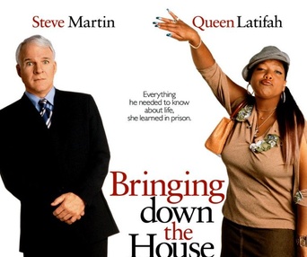 Affiche du film Bringing Down the House
