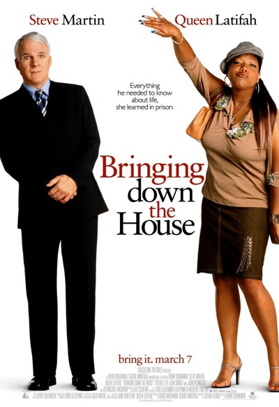 Affiche du film Bringing Down the House