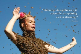Images du film Queen of the Sun: What Are Bees Telling Us?