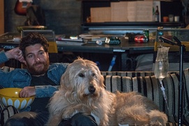 Une scène du film Dog Days Une scène du film Dog Days