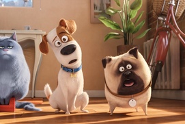 Une scène du film The Secret Life of Pets Une scène du film The Secret Life of Pets