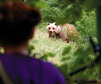 Scène du film Le renard et l'enfant