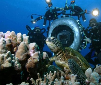 Scène du film Sous les mers du monde