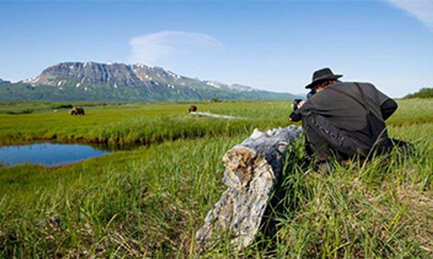 Disneynature annonce Bears pour 2014
