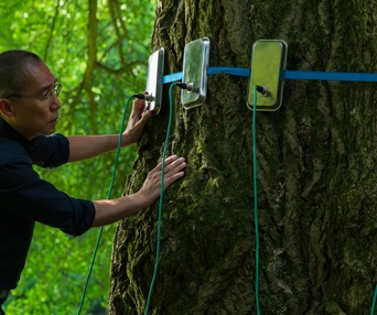 Image du film L'amie silencieuse
