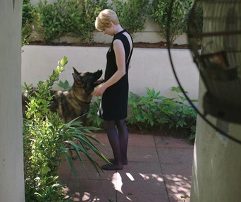 Image du film Chien blanc