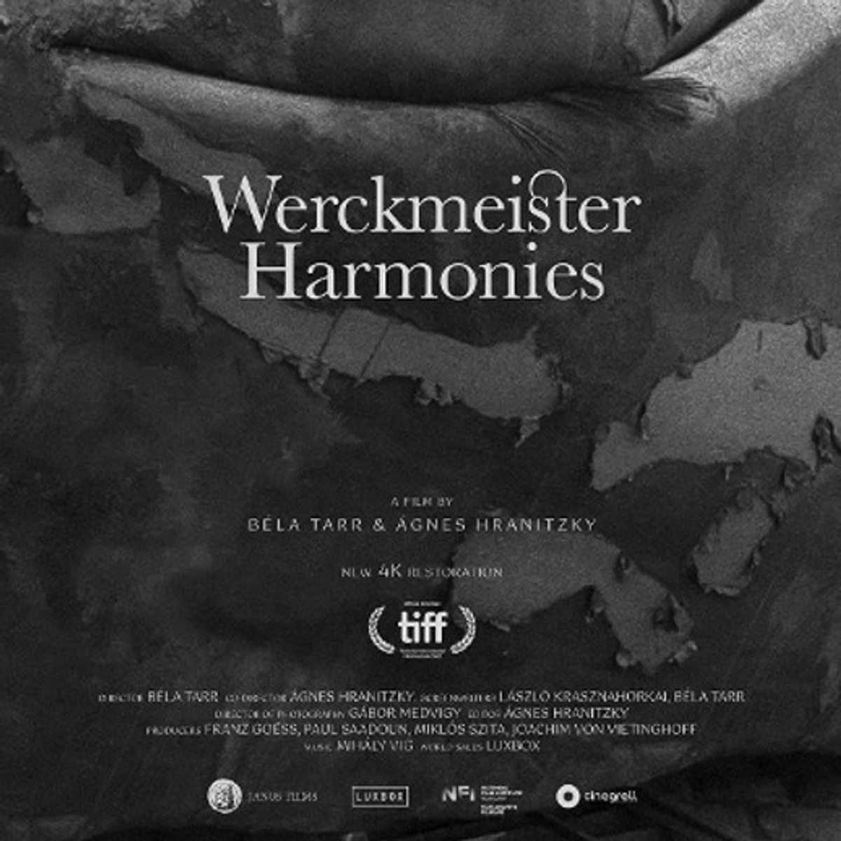 Affiche du film Werckmeister Harmonies