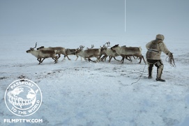 Une scène du film Le Grand Nord : du Groenland à la Sibérie  -  Passeport pour le monde