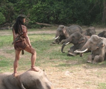 Scène du film Ong Bak 2