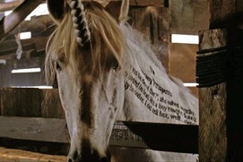 Scène du film Inkheart