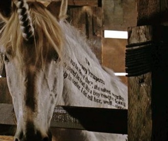 Scène du film Inkheart