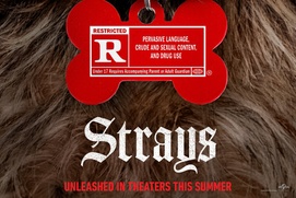 Affiche du film Strays Affiche du film Strays