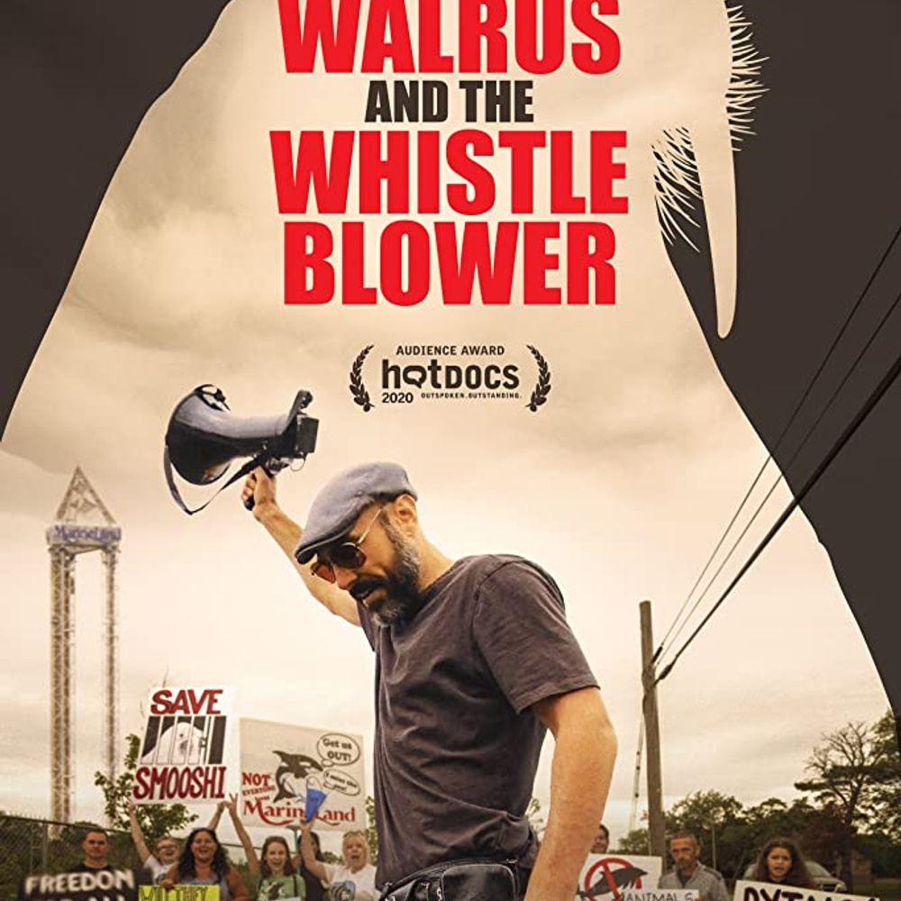 Affiche du film The Walrus and the Whistleblower